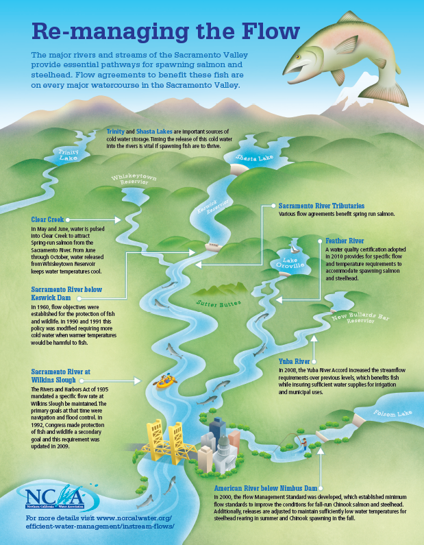 Fishing the lower Yuba? Stay Current on Do's and Don'ts • SYRCL