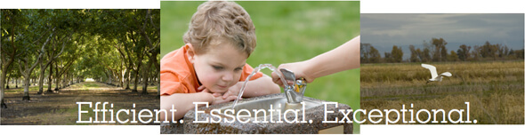 Efficient. Essencial. Exceptional