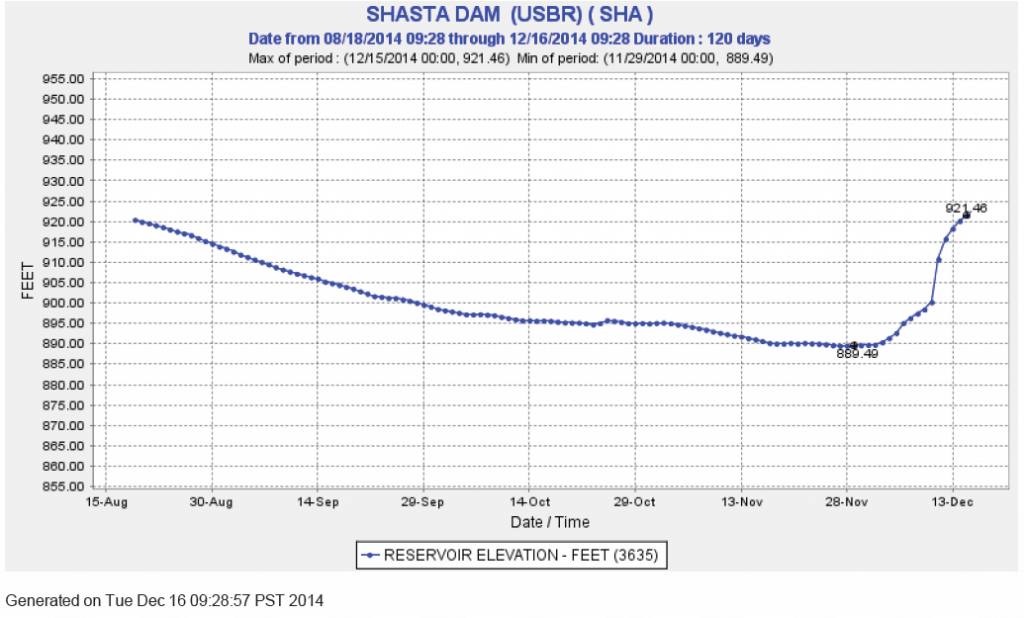 shasta