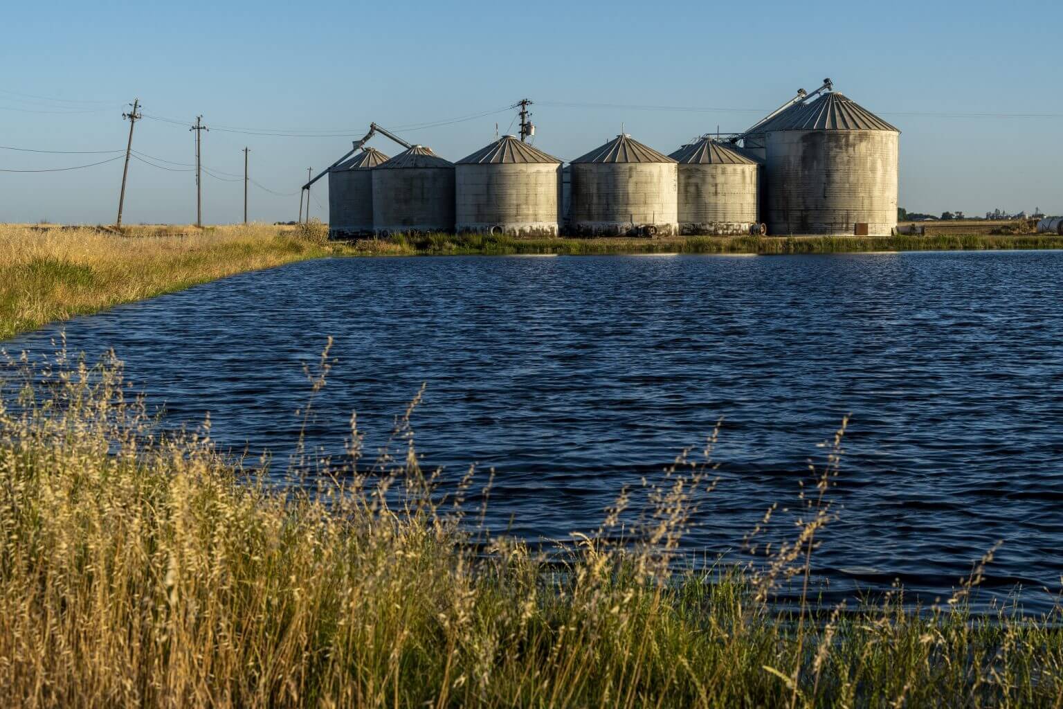 Rejuvenating our Lands Healthy Soils in the Sacramento Valley
