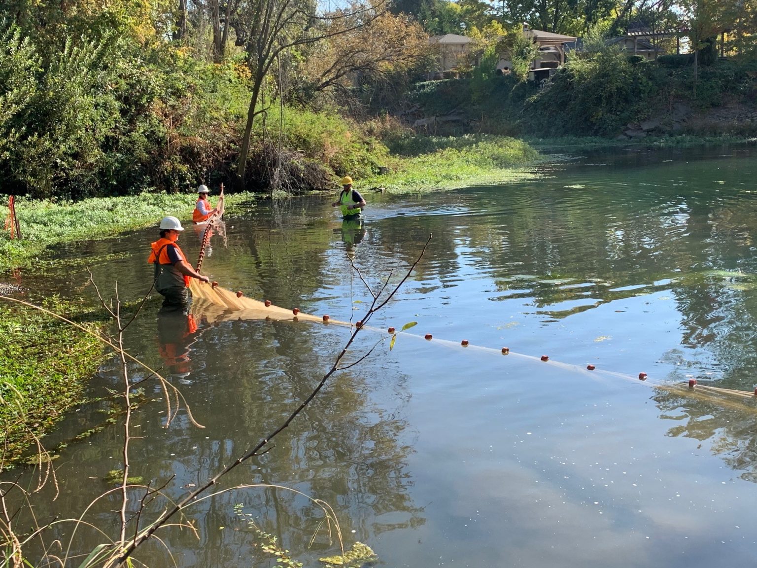 New Sacramento Valley Salmon Recovery Project Will Aid Salmon In The