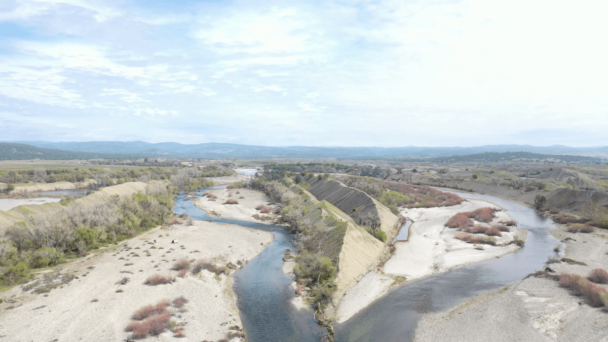 Celebrating largescale habitat restoration on the lower Yuba River and