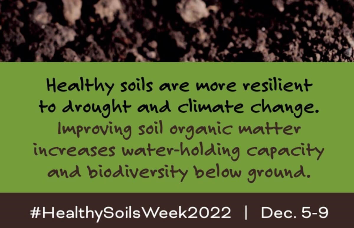 Celebrating Our Healthy Soils that are Essential for Food Productivity ...