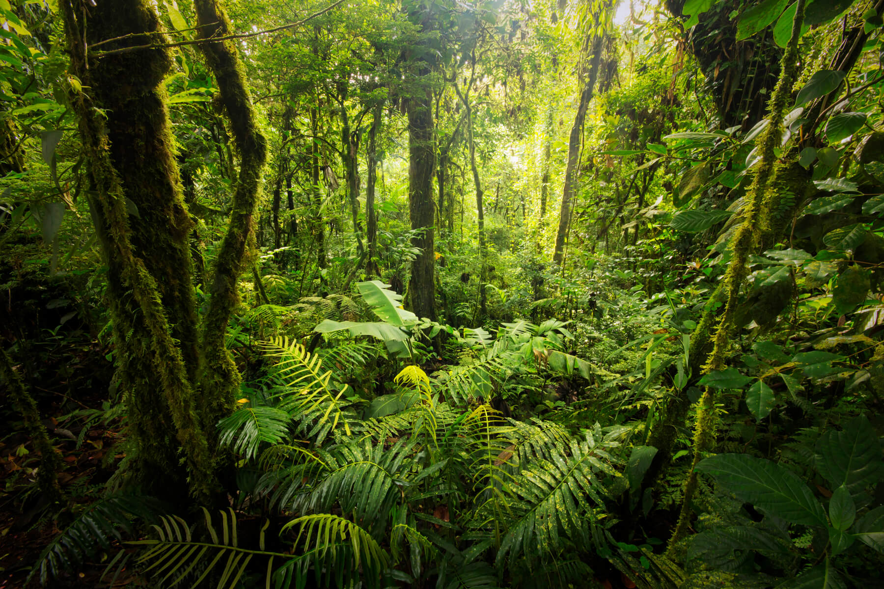 Lessons From The Jungle Book Northern California Water Association