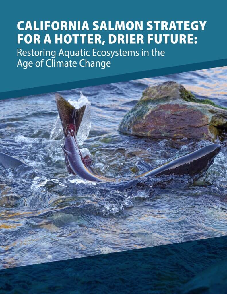 Newsom Administration Develops Comprehensive Salmon Strategy for California