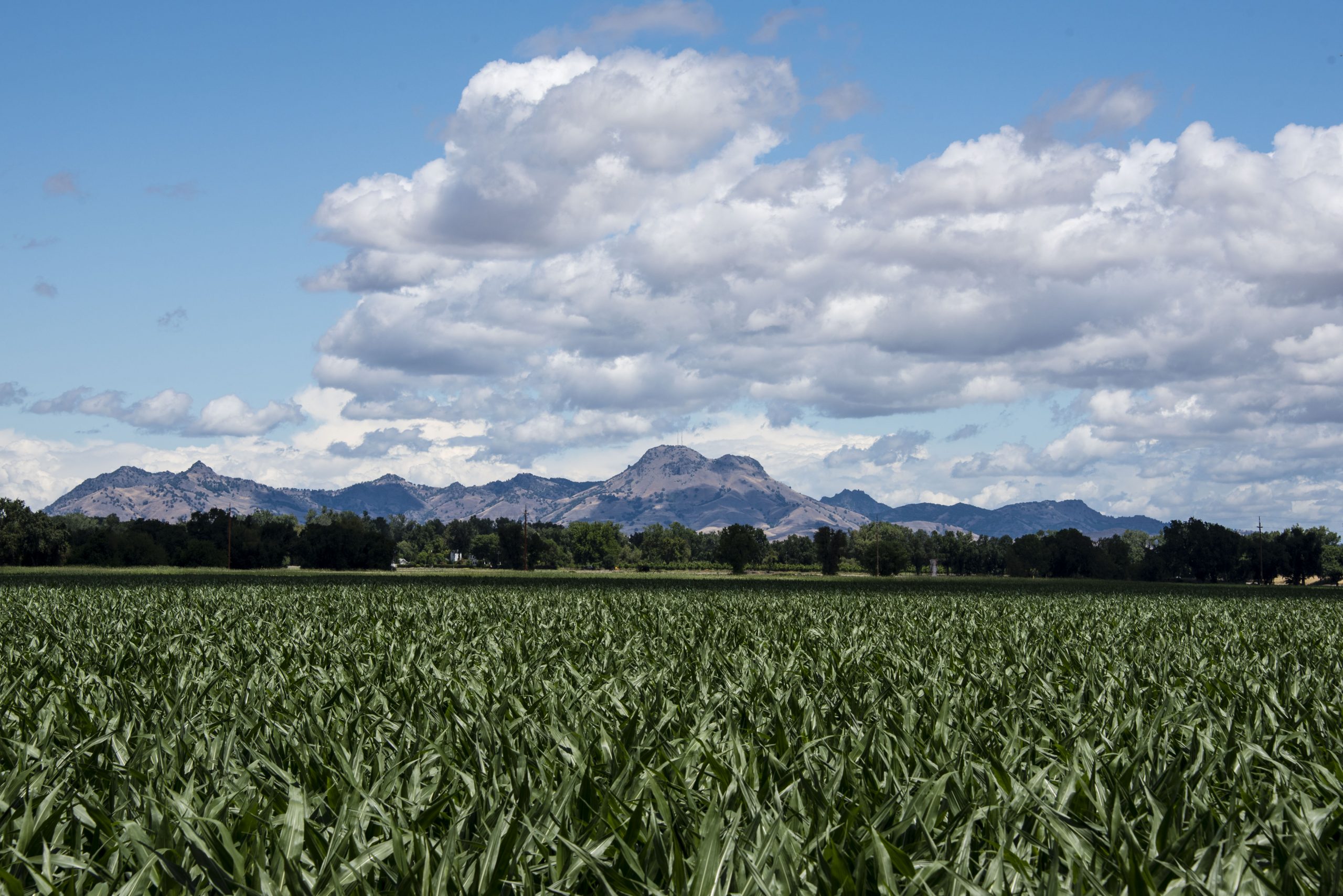 Learning About Agriculture From Home Northern California Water 