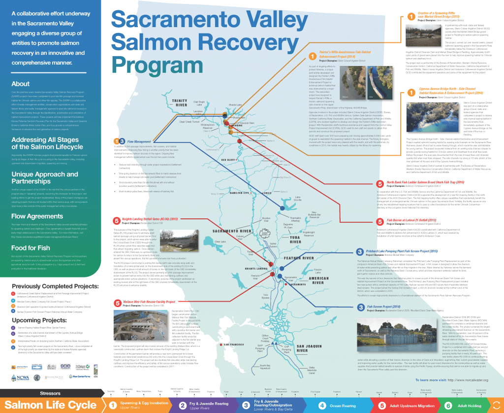 New Poster Displays Progress on Sacramento Valley Salmon Recovery