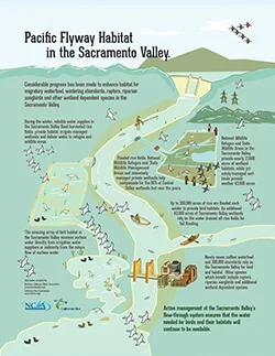 Pacific Flyway Habitat