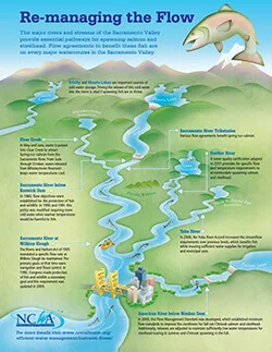 Re-managing the Flow
