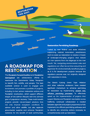 A ROADMAP FOR RESTORATION