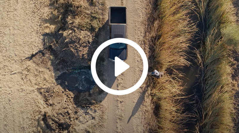The New Way Forward: Wetlands